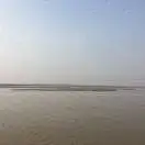 鼠儿果000