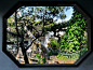 网师园——精巧古典园林的代表作 - POCO旅游社区-旅游摄影图片交流平台－POCO.CN 我的照片 我的空间