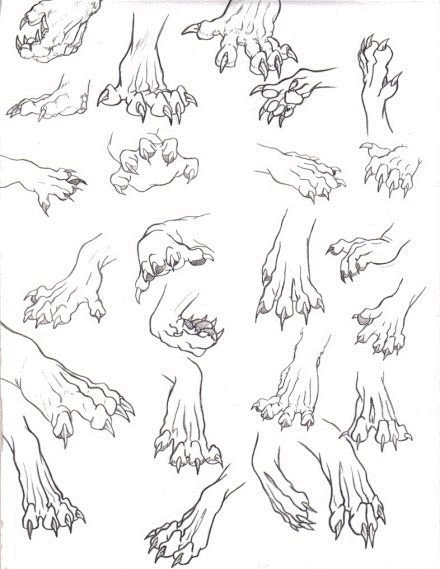 手绘参考~动物的爪的画法~转需~
