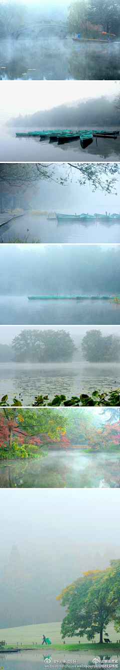 东煌采集到景