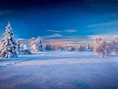 美丽的冬天风景，树，云杉，雪 壁纸 - 1920x1440