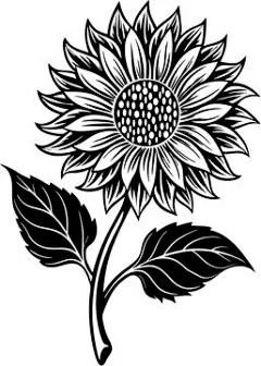 图源免费EPS |花卉矢量插画。向日葵矢量图。雏菊矢量图。花卉轮廓矢量图