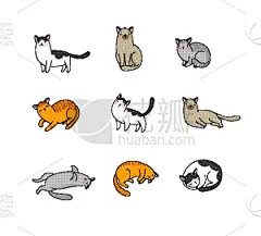 可爱的,宠物,猫,卡通,反差,纯种犬,动物,品牌名称,尾巴,剪影