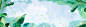 绿色文艺小清新简约花卉海报banner平面广告_新图网 https://ixintu.com 小清新 手绘 文艺 花卉 花 手绘花卉 背景图 清新 电商 花儿 旅游 服装 淡雅 雅致 古风 卡通