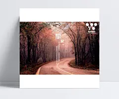 早安唯美风景海报设计|唯美,安静,枫叶,早安,励志,感人,风景,仙境,时尚,其他,背景图