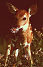 (96) Tumblr