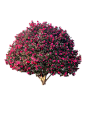 3703aadd7832aa8f72fa02740e082d3c8e3006cd154442-2P3JyK