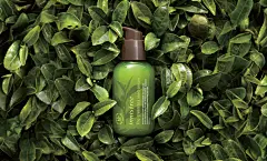 OFFERS &amp; EVENT - CURRENT OFFERS | innisfree