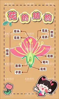 花的结构  - 源文件下载【酷图网】植物生长,卡通植物,生长,发芽,收秋,植物观察,成长观察,种子的萌发,植物小报,种子生长过程,种子结构,花的结构,叶子结构,种子需要什么,