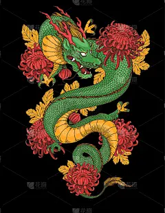 中国龙与菊花花手绘矢量插图。纹身打印。手绘草图，用于t恤印花，布料及其他用途。