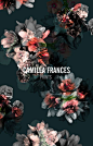 Camilla Frances Prints: 