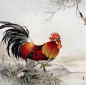 冯英杰工笔画--鸡