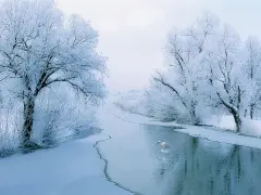 雪景