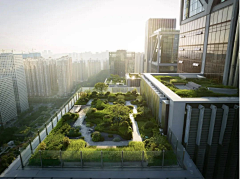 小覃Qin采集到屋顶花园