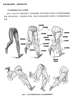 西洺采集到布料衣褶参考