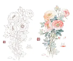 月季花线稿_1_山涧鹿竹_来自小红书网页版