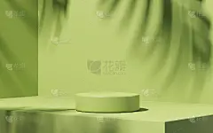 最小的讲台绿色背景，用于产品介绍。灰泥墙上的热带树叶阴影。春季和夏季。