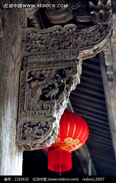 十色鸢尾花采集到风景