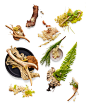 Fragrance Family // The Woods : fragrance, product photography