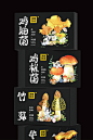 尚智×滇南日记｜云南特产菌菇礼盒包装｜食品包装设计-古田路9号-品牌创意/版权保护平台