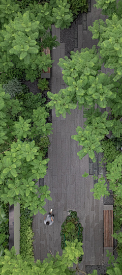 瀋尛瑤瑤采集到植物组团搭配