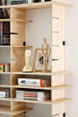 Customized shelving but awesome and easy to replicate...