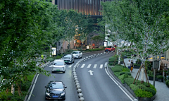 花绽采集到D-道路景观