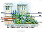 5组荫生花境手绘方案以及植物示例，一并奉... 来自阿鹏花境 - 微博