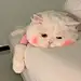 拖延症晚期患者—
