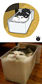 Artist Is Bringing Forgotten Memes Of Cats In The Form Of Cartoons And This Is So Purrfect