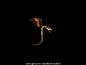 atk3_c.gif