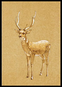 鹿森林鹿角鹿头剪影麋鹿动物 手绘小鹿 创意鹿背景 水彩小鹿 梅花鹿素