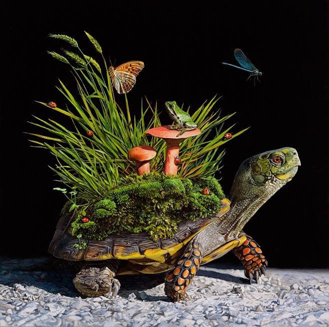 丽莎埃里克森的超现实主义插画：海龟系列 ...