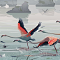 flamingo : Flamingos in Halong bay's landscape.Panoramic Vector illustration. Landscape with flamingos.As a basis for the background, Ha Long Bay in the morning fog. A place where there is an atmosphere of calm and silence, and only the flamingos in the f