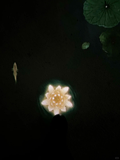 芷慧的创意画坊采集到沉浸式空间
