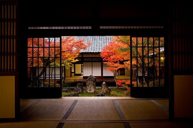 日本庭院   摄影   