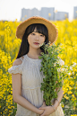 油菜花 油菜花田 故事里的小黄花