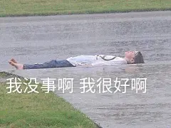 有哪些万能的表情包推荐？ - 知乎