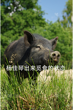 6月~采集到杨佳琴的自拍照及自我真实写照