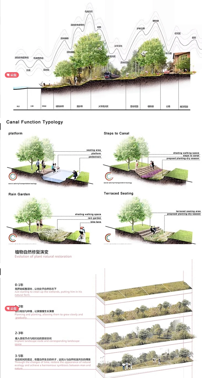 小清新剖立面景观分析效果图ps素材植物景观节点断面分析图ps素材-花瓣网