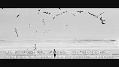 （李宫俊的诗:我为何如此坚决。因为我的人生，没有留给我足够多的犹豫。）电影台词、电影截屏、电影截图、韩剧台词、文字图片、文字美图、文字控壁纸、电影情话