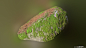 scanslibrary-new-3d-assets-mossy--1-2eed35ee-rvxy.jpg (1920×1080)