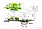 【文科分享】建设海绵城市 缔造雨水花园-文科园林-微头条(wtoutiao.com)
