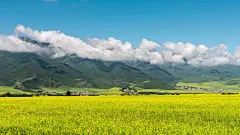 青海风景