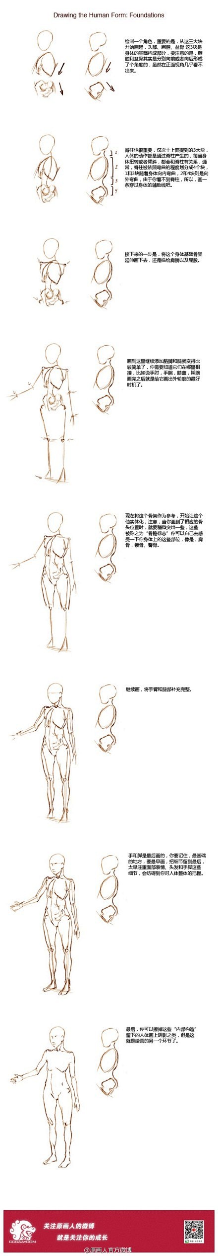 【人体基础】【查看大图】相当基础的人体绘...