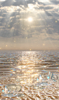 Motion graphics Geya Shvecova : Artist Gif: My contacts/ WeHeartit / vk email:geyashvecova@gmail.com