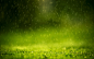 green landscapes nature raindrops wallpaper (#2333427) / Wallbase.cc