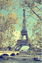 巴黎鐵塔之美。 #美景# #街景#