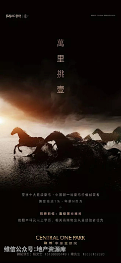 代嘉良采集到背景