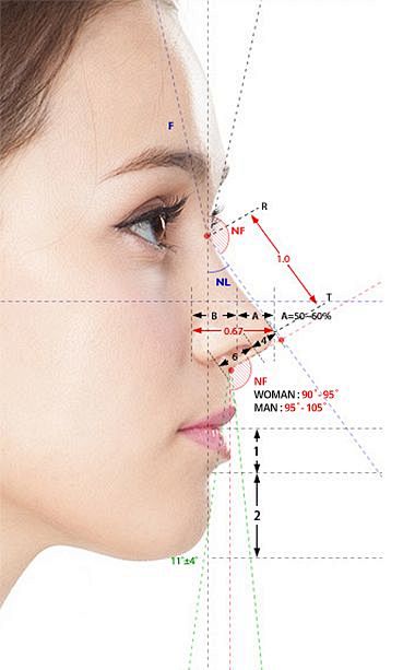 bg-nose-3